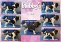 Kennel blubbys o kull.jpg